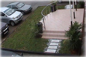 p1.jpg