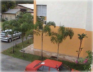 p3.jpg